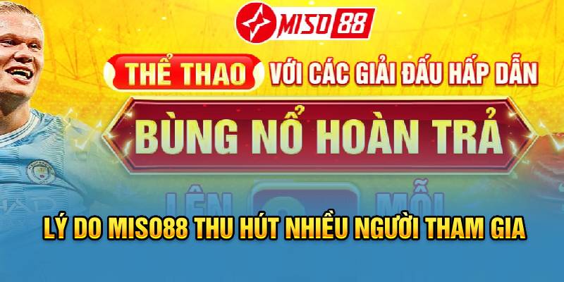 ly-do-miso88-thu-hut-nhieu-nguoi-tham-gia