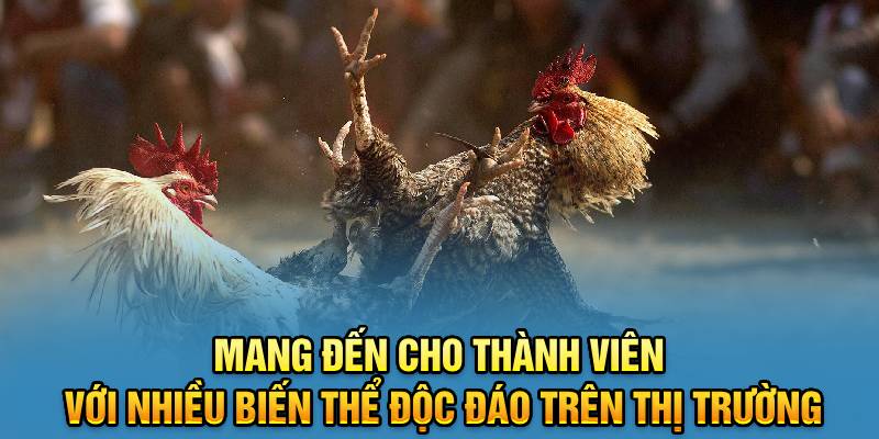 mang-den-cho-thanh-vien-voi-nhieu-bien-the-doc-dao-tren-thi-truong