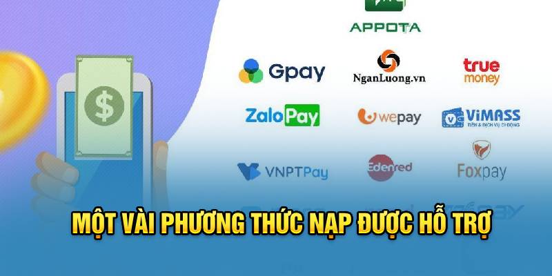 mot-vai-phuong-thuc-nap-duoc-ho-tro