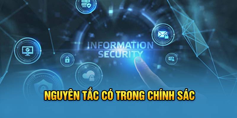 nguyen-tac-co-trong-chinh-sach