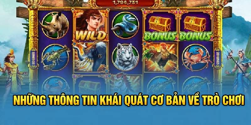 nhung-thong-tin-khai-quat-co-ban-ve-tro-choi-