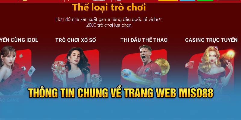 thong-tin-chung-ve-trang-web-miso88