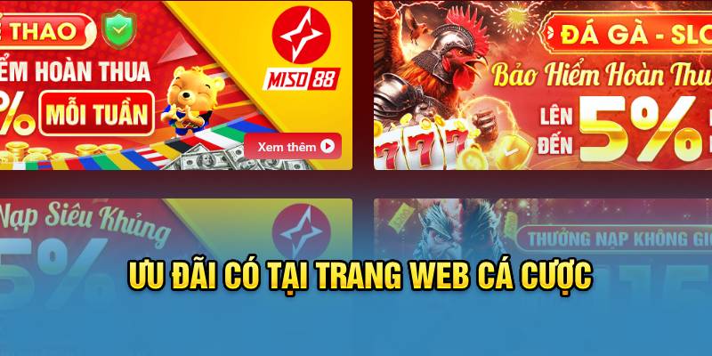 uu-dai-co-tai-trang-web-ca-cuoc