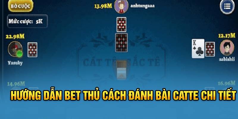 huong-dan-bet-thu-cach-danh-bai-catte-chi-tiet