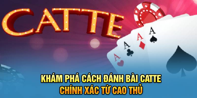 kham-pha-cach-danh-bai-catte-chinh-xac-tu-cao-thu