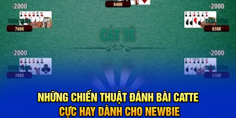 nhung-chien-thuat-danh-bai-catte-cuc-hay-danh-cho-newbie