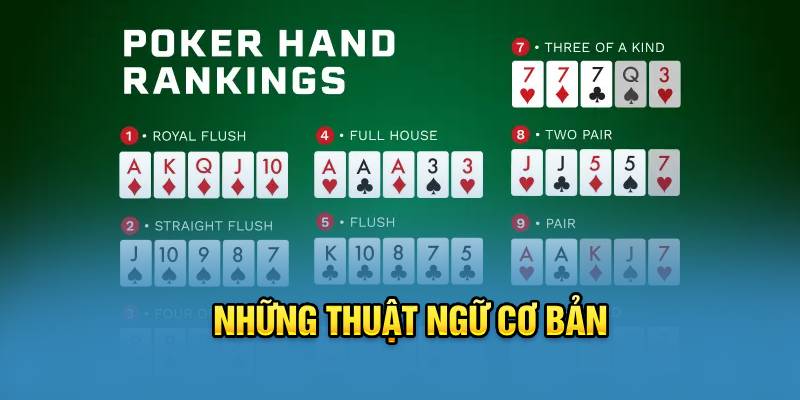 nhung-thuat-ngu-co-ban