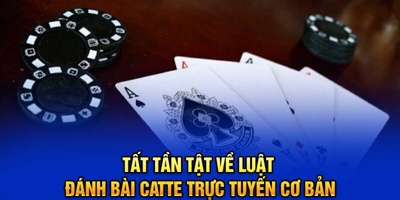 tat-tan-tat-ve-luat-danh-bai-catte-truc-tuyen-co-ban